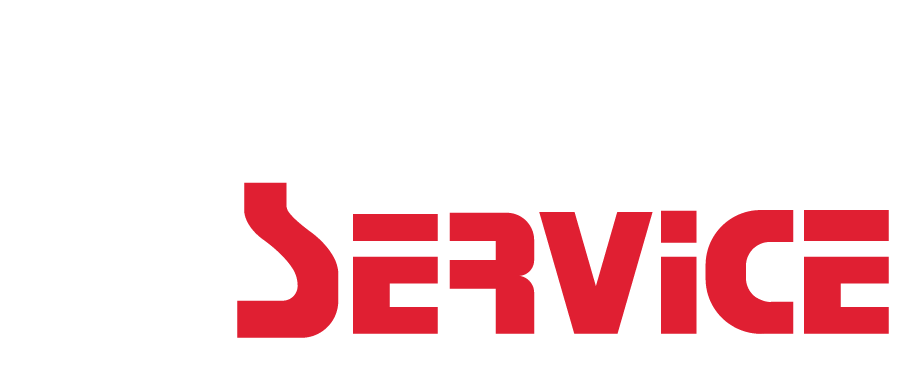 Logo Total Service Car audio - Accesorios para vehículos- Alarmas